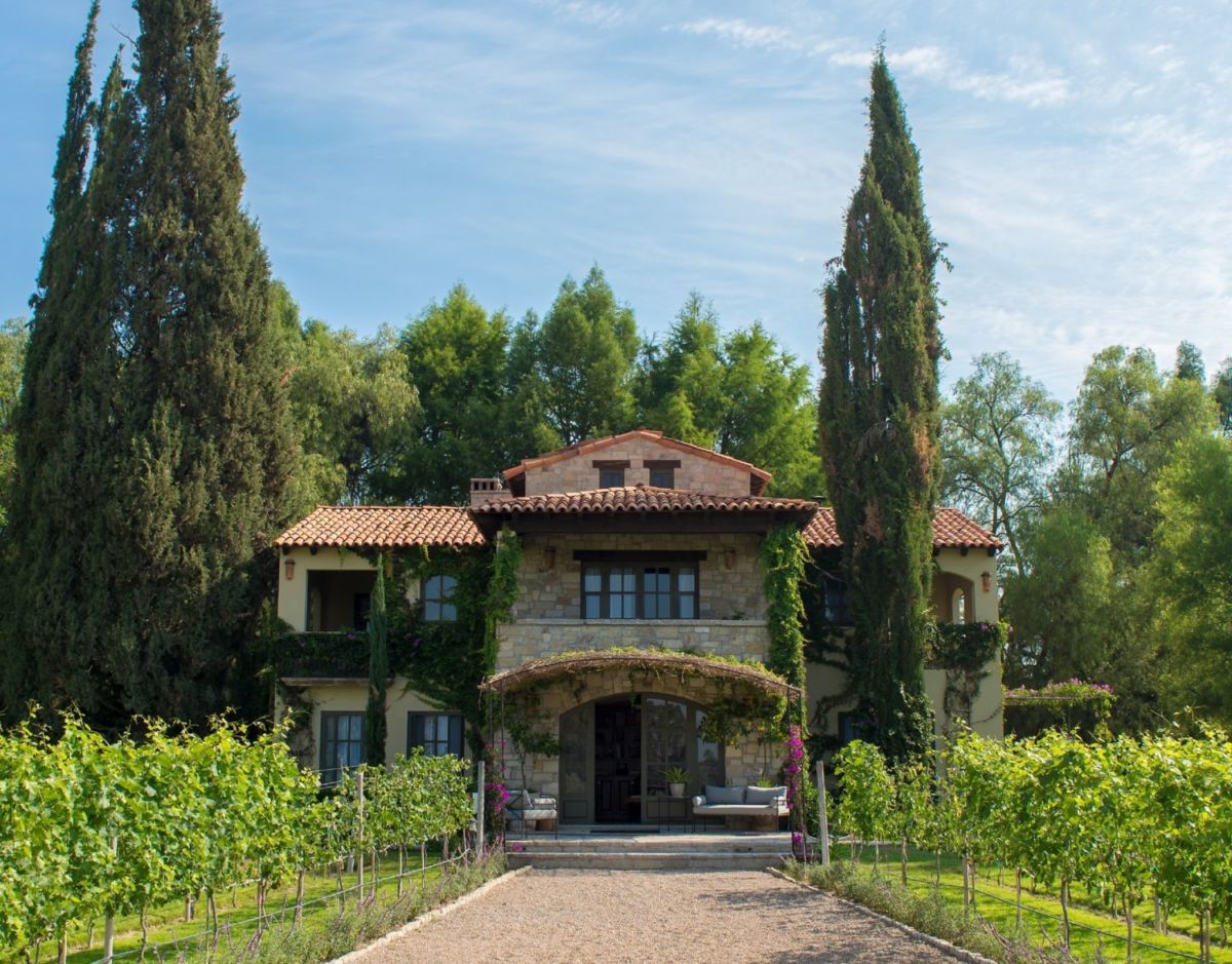 viñedos cerca de la cdmx