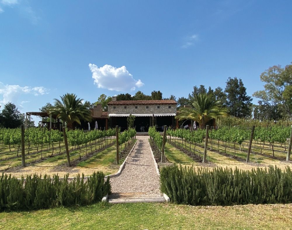 viñedos cerca de la cdmx