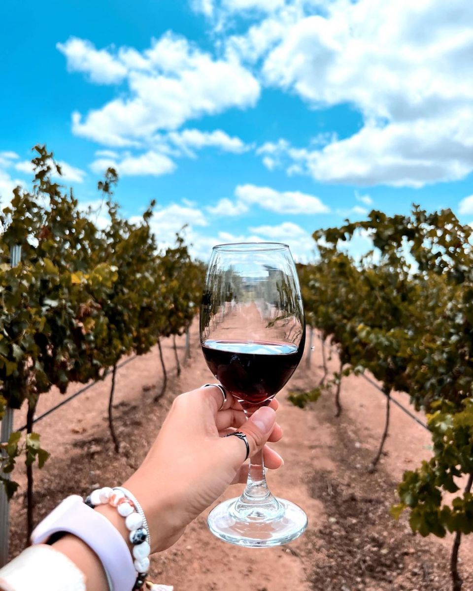 viñedos cerca de la cdmx