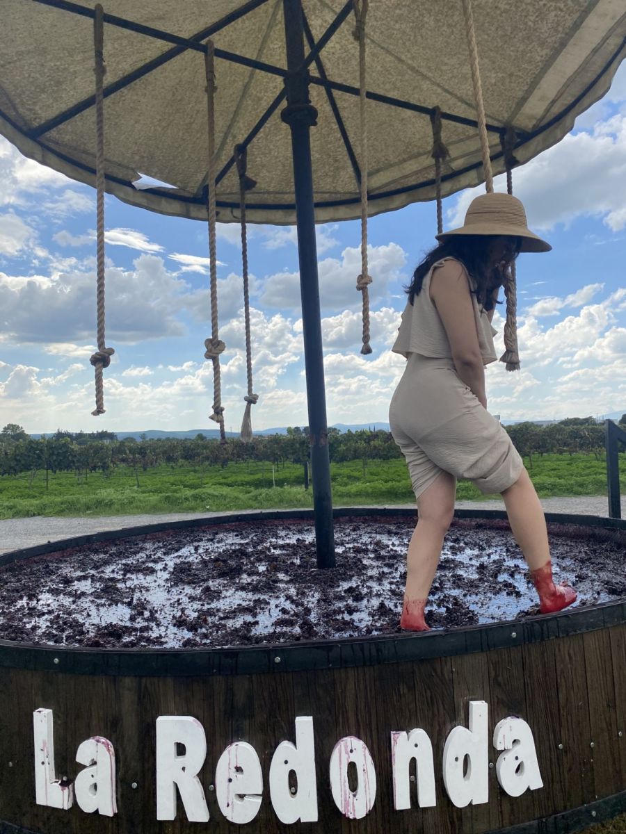 viñedos cerca de la cdmx