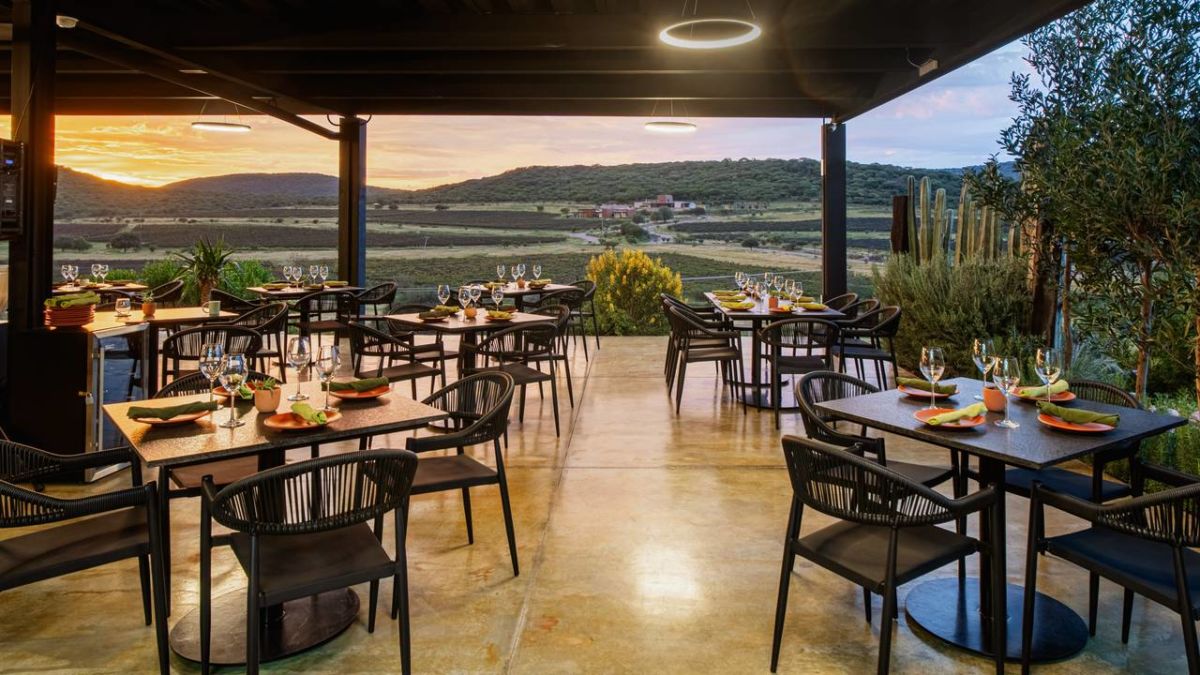 viñedos cerca de la cdmx