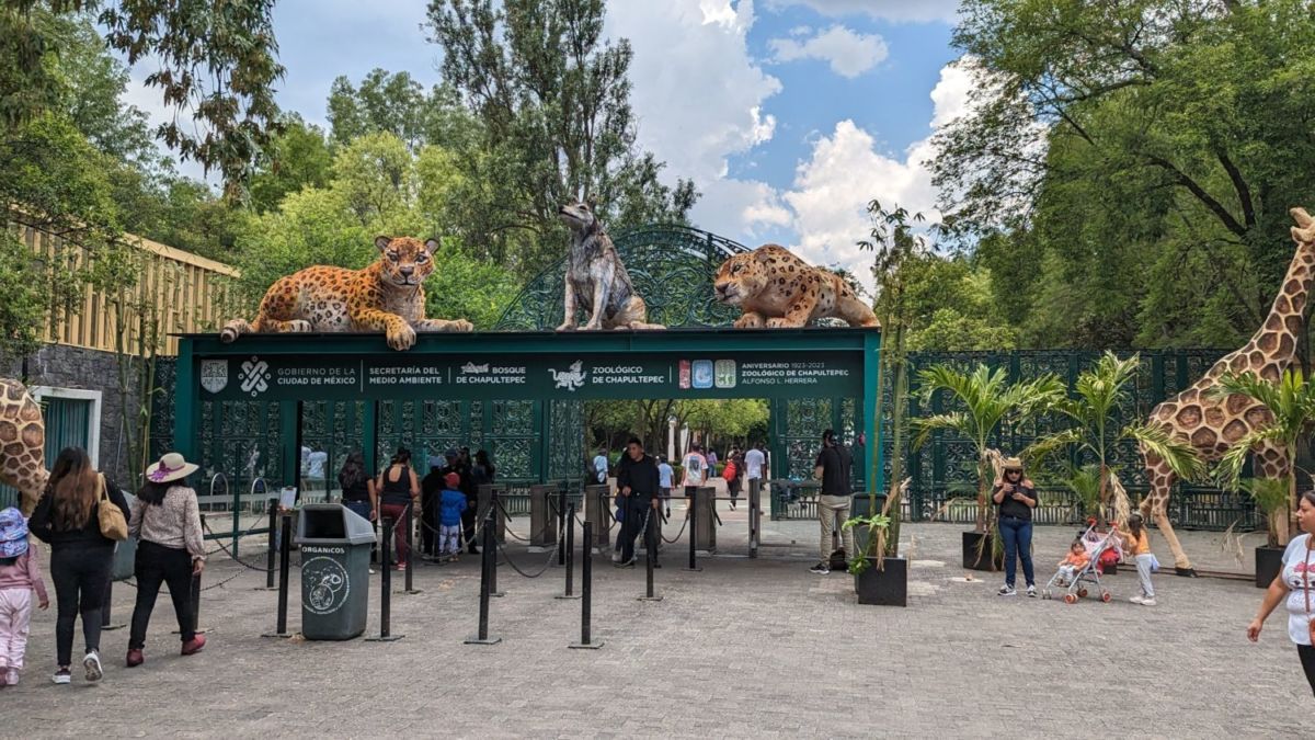 zoológicos en la cdmx