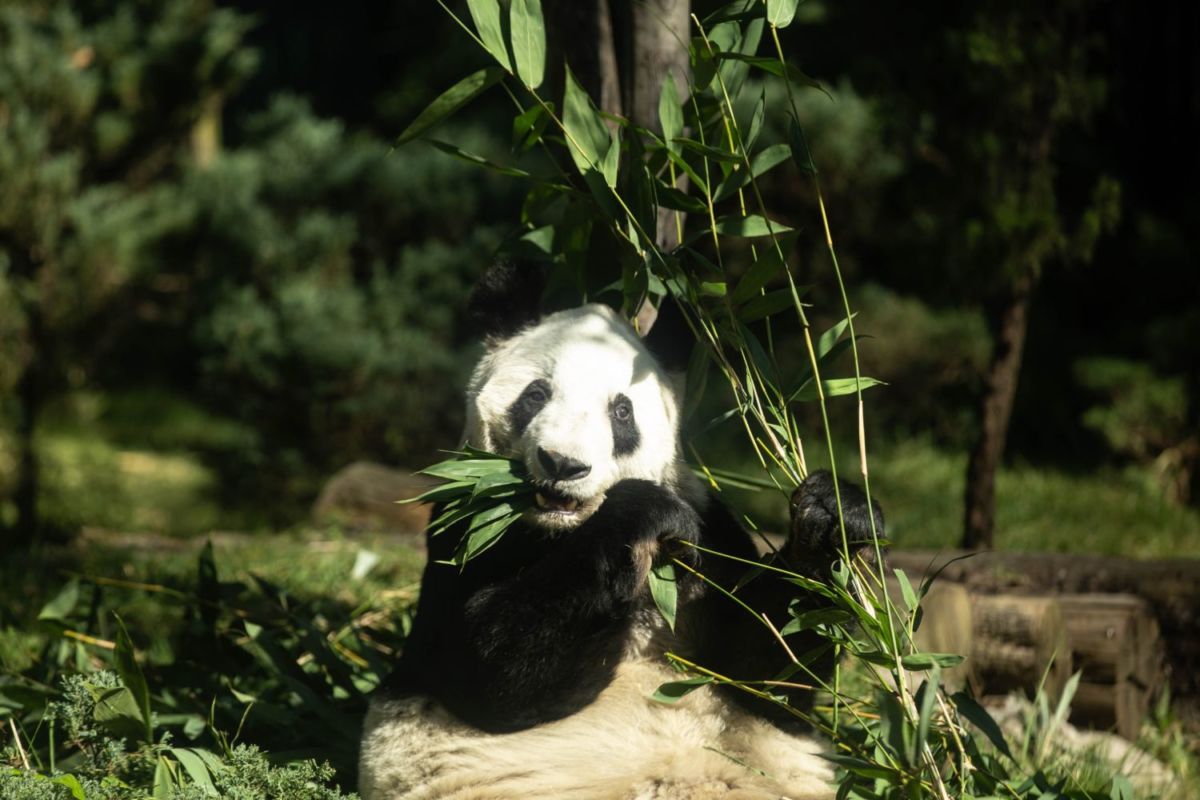 5 lugares para ver animales en la CDMX