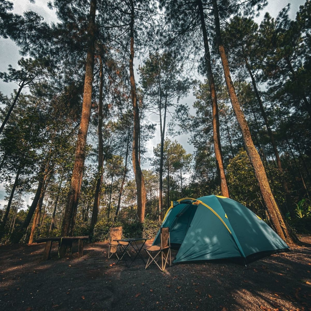 5 lugares para acampar SIN salir de la CDMX