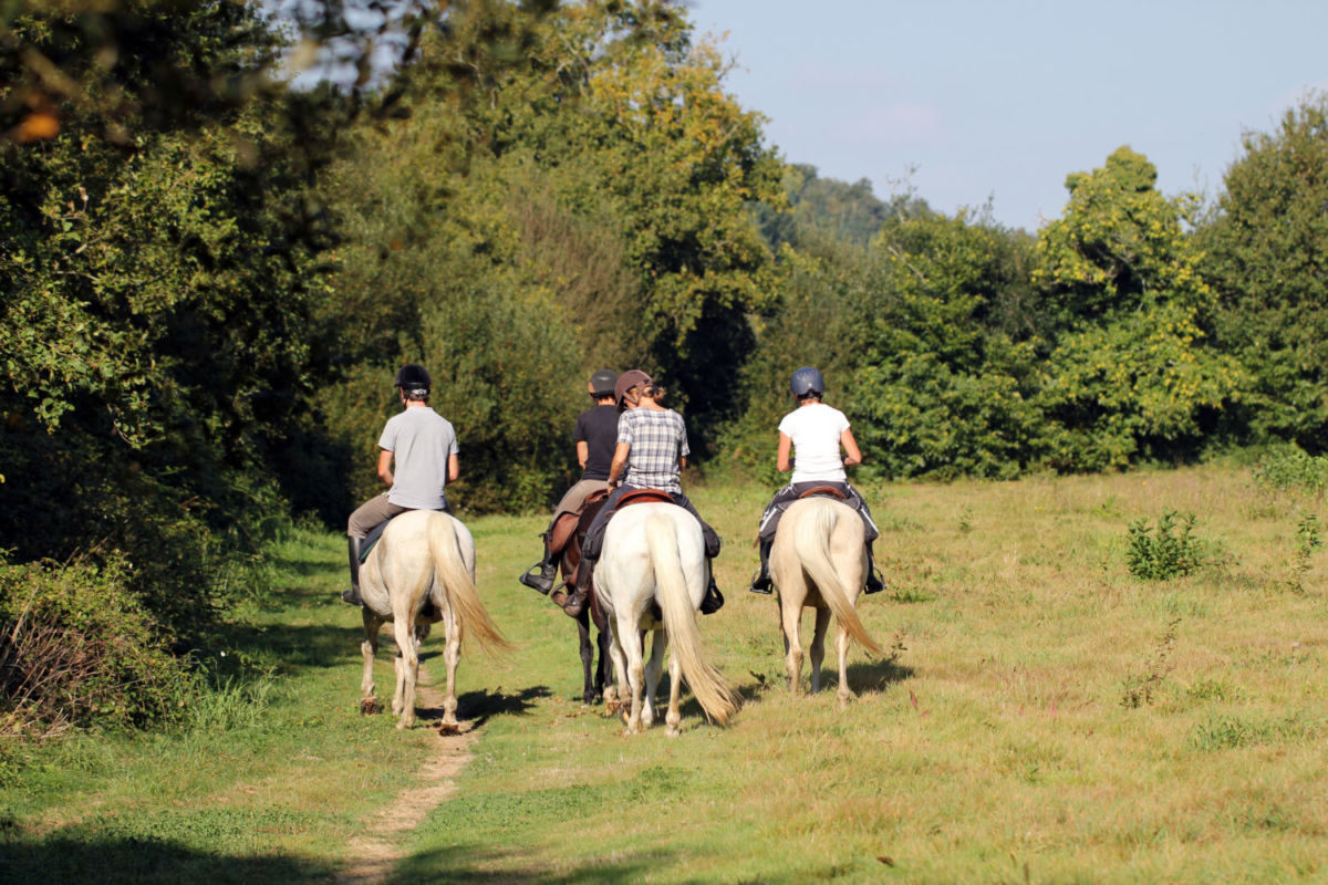Paseos en caballo