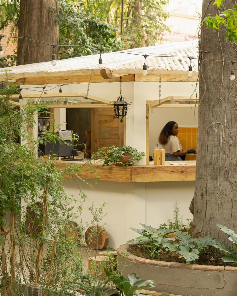 cafetería de especialidad colonia roma 