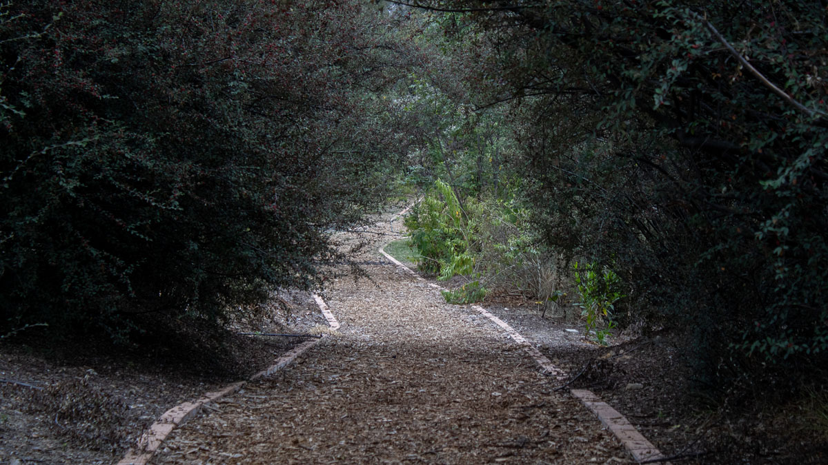 Bosque-de-Chapultepec