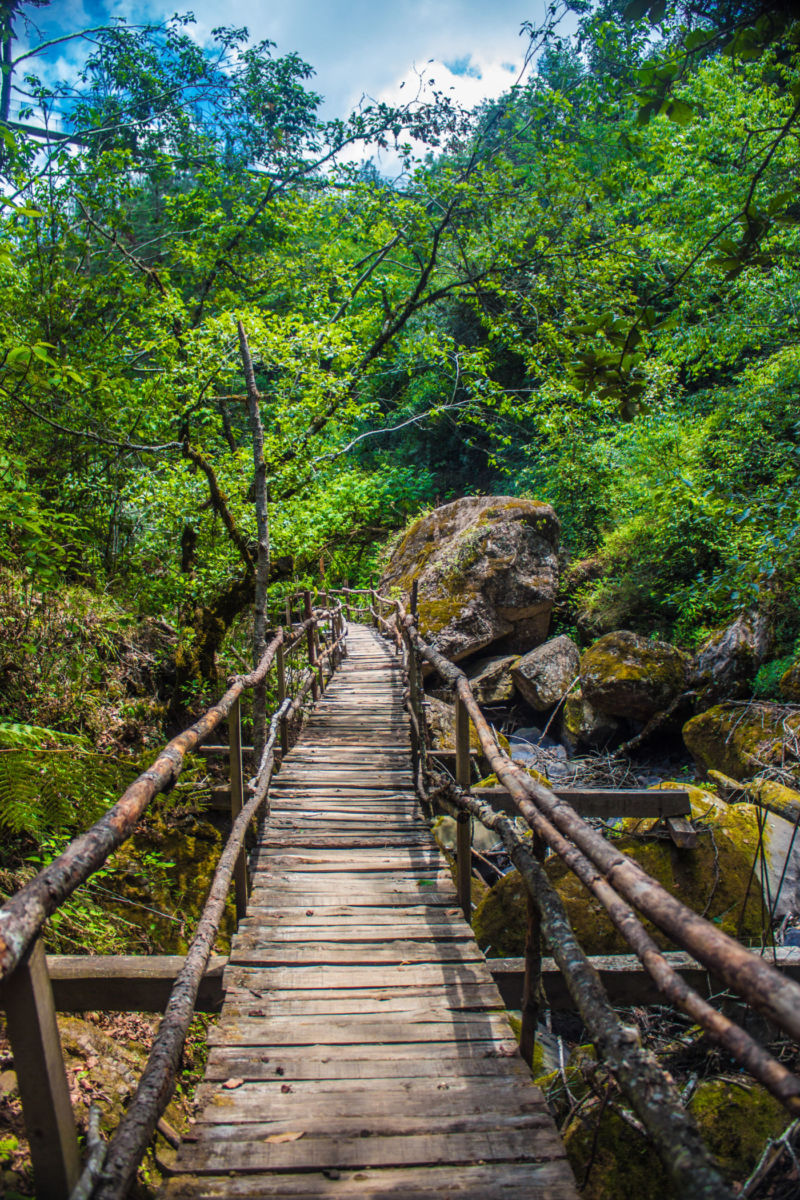 Cascadas Paraíso: el secreto mejor guardado de Puebla que está a solo dos horas de CDMX