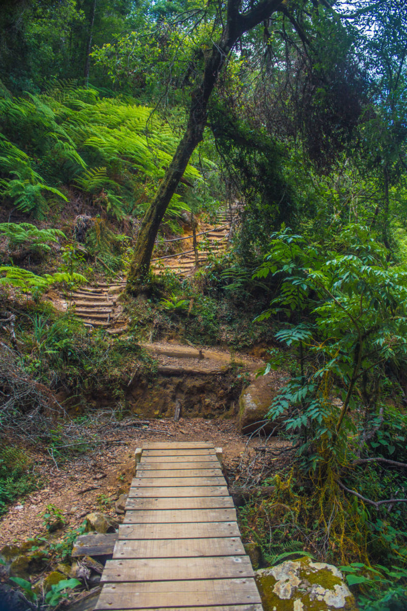 Cascadas-cerca-de-CDMX