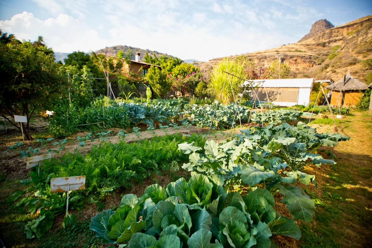 centro holístico en malinalco