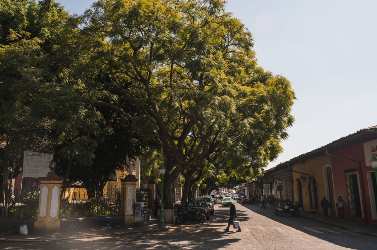 Coatepec, Veracruz