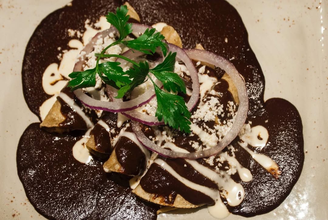 Enchiladas de mole