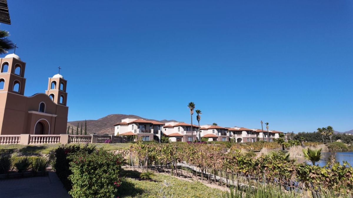 Hospedaje entre viñedos en Baja California. 