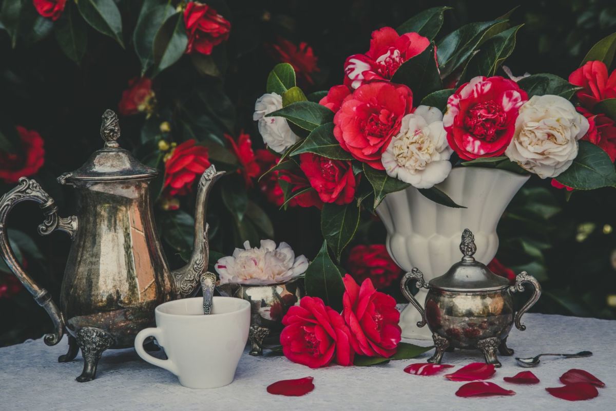 centro de mesa camelias