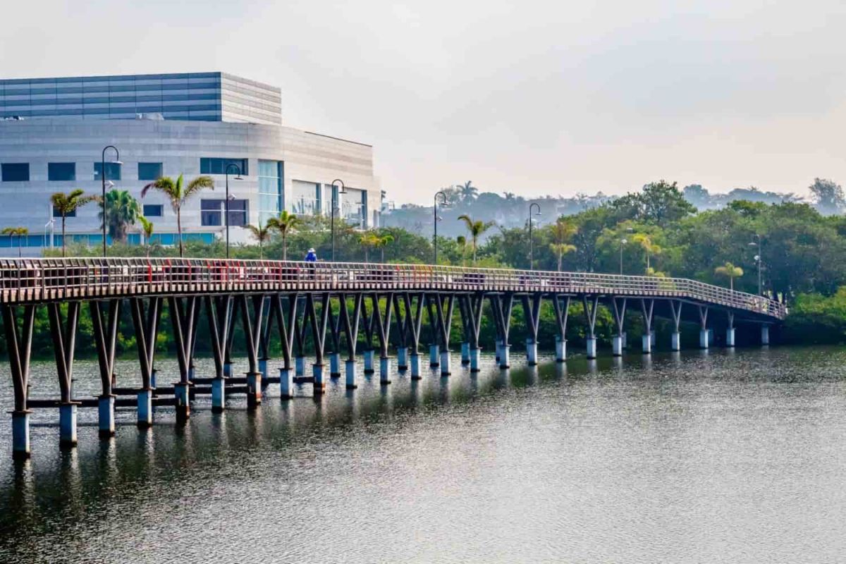 Laguna del Carpintero
