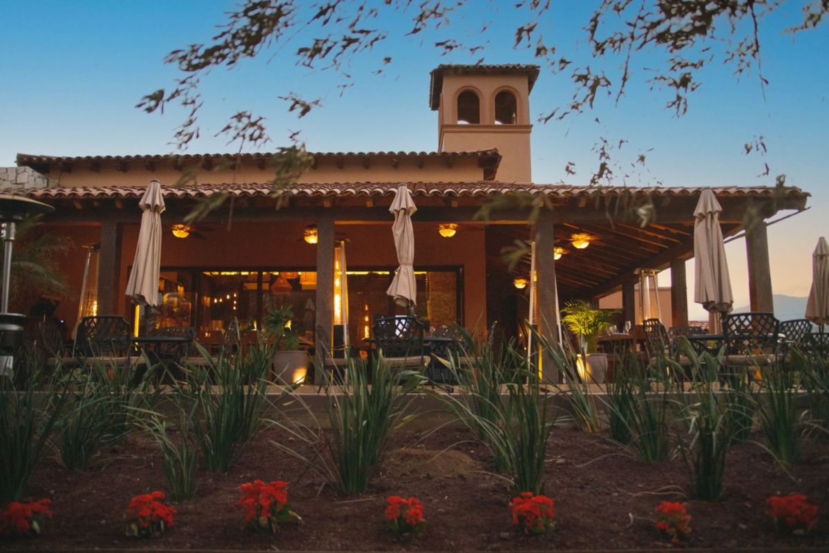 Restaurante entre viñas. 