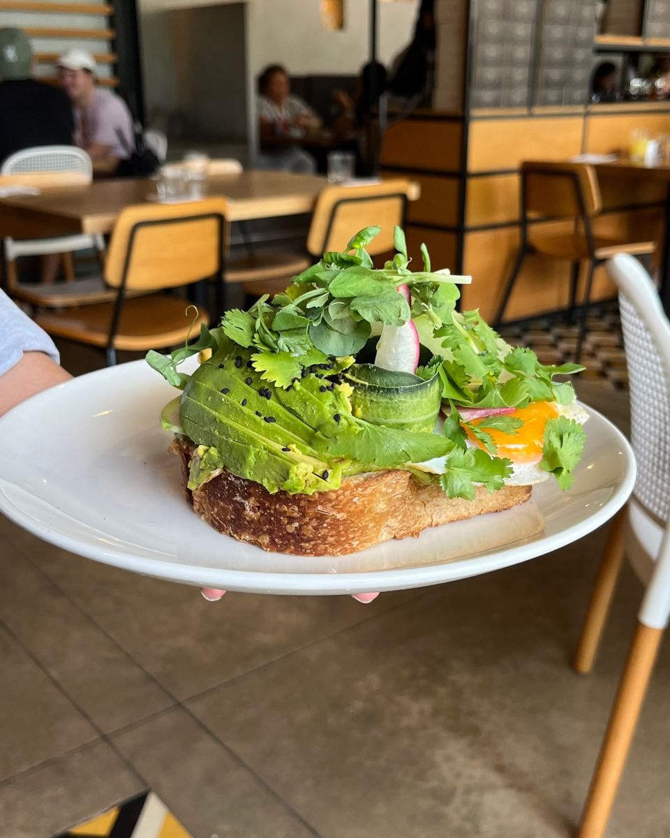 Avocado Toast en Mérida. 