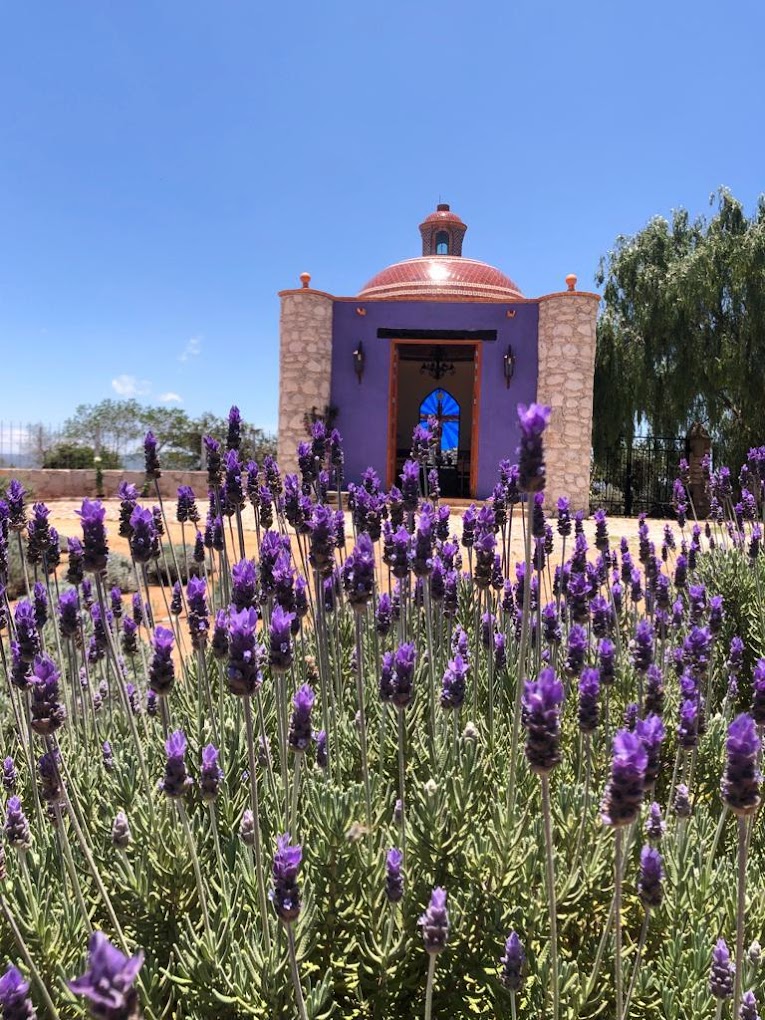 Rancho de Lavanda