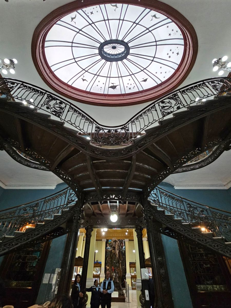 Museo-de-Geología