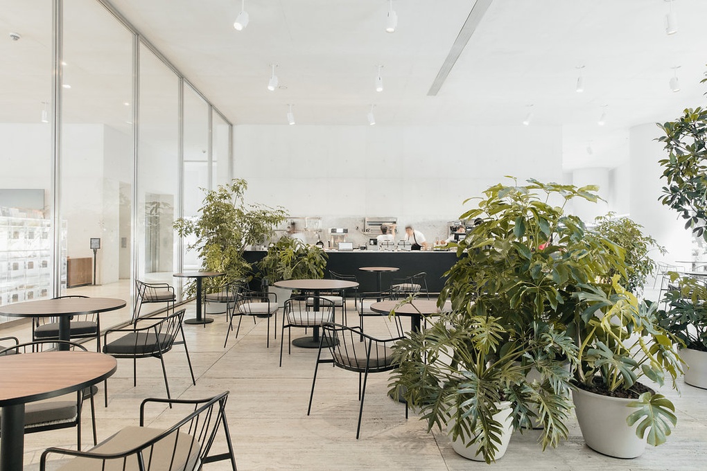 museos con terrazas bonitas