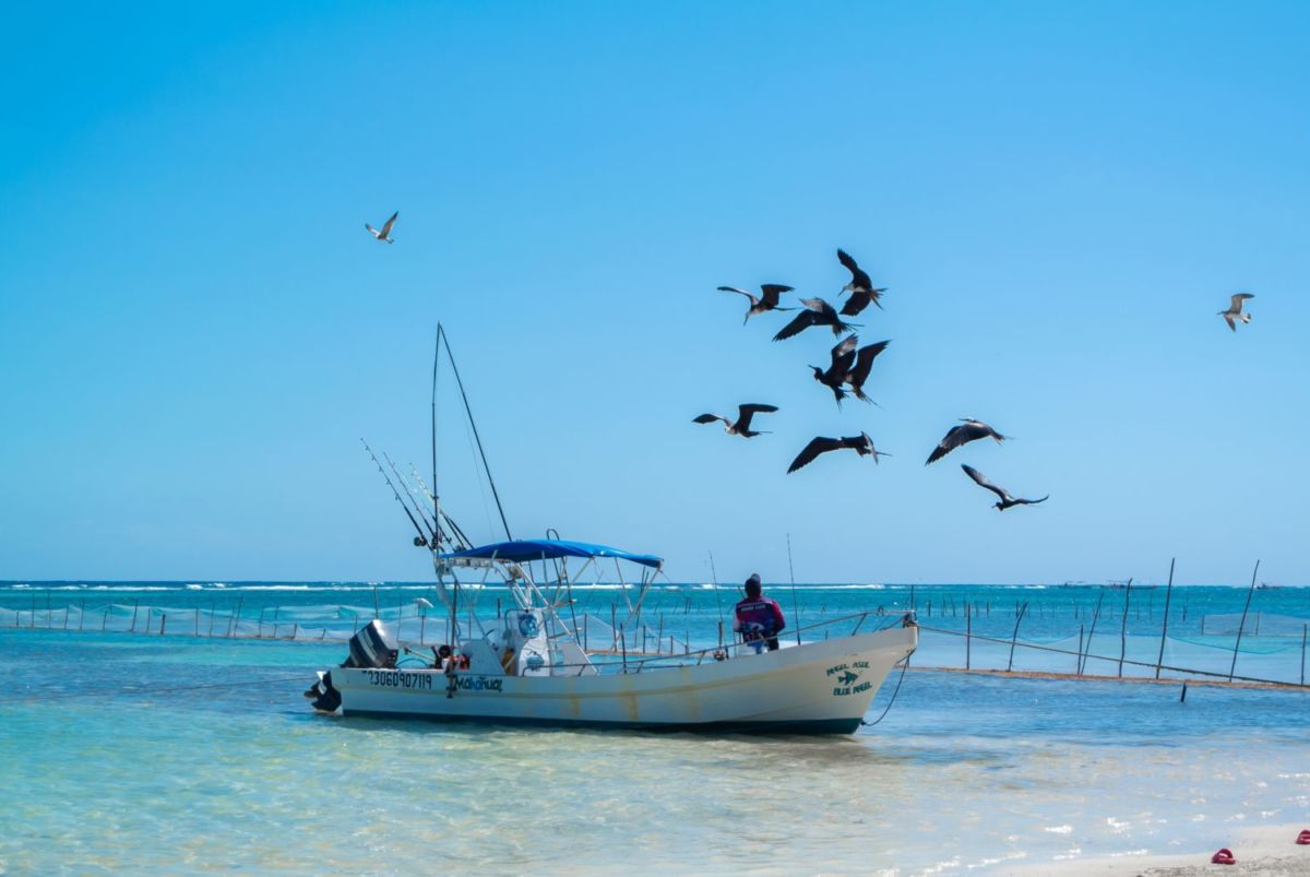mahahual, un pueblo de pescadores en el caribe