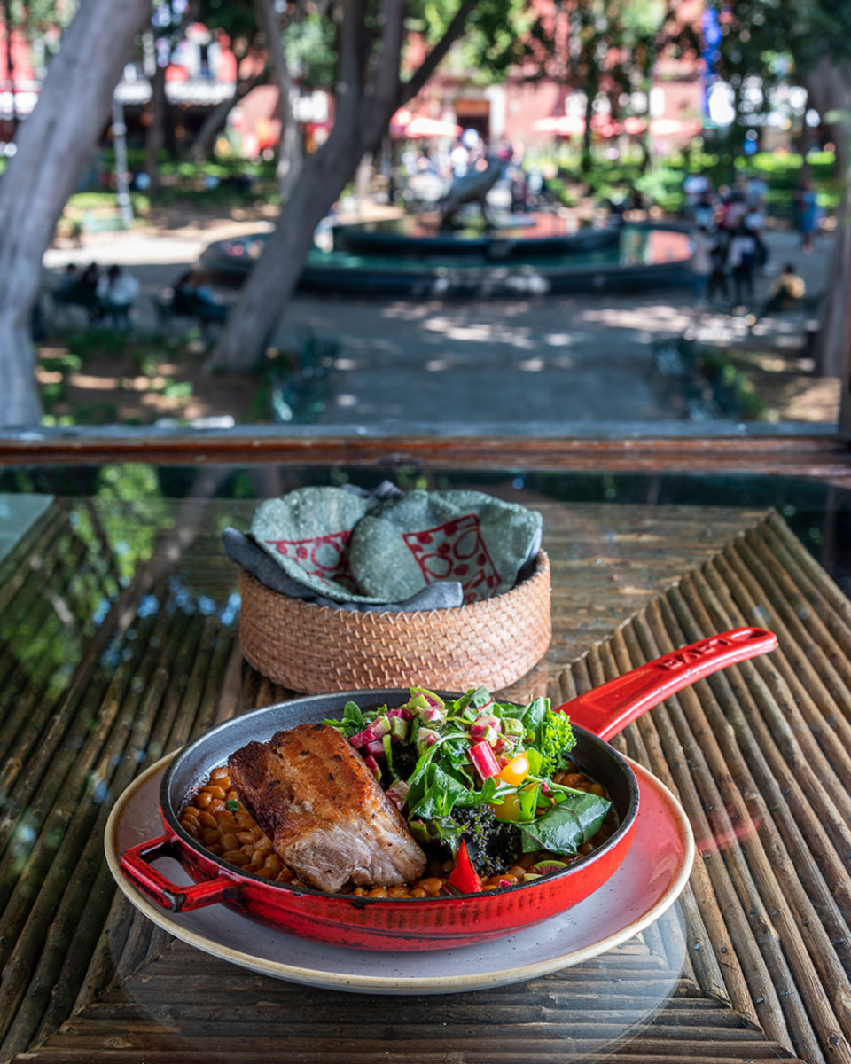 qué-hacer-en-Coyoacán