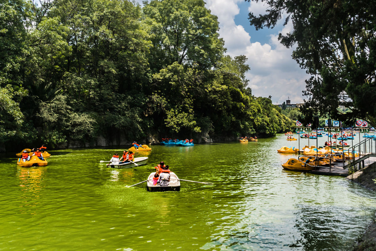 Bosque de Chapultepec