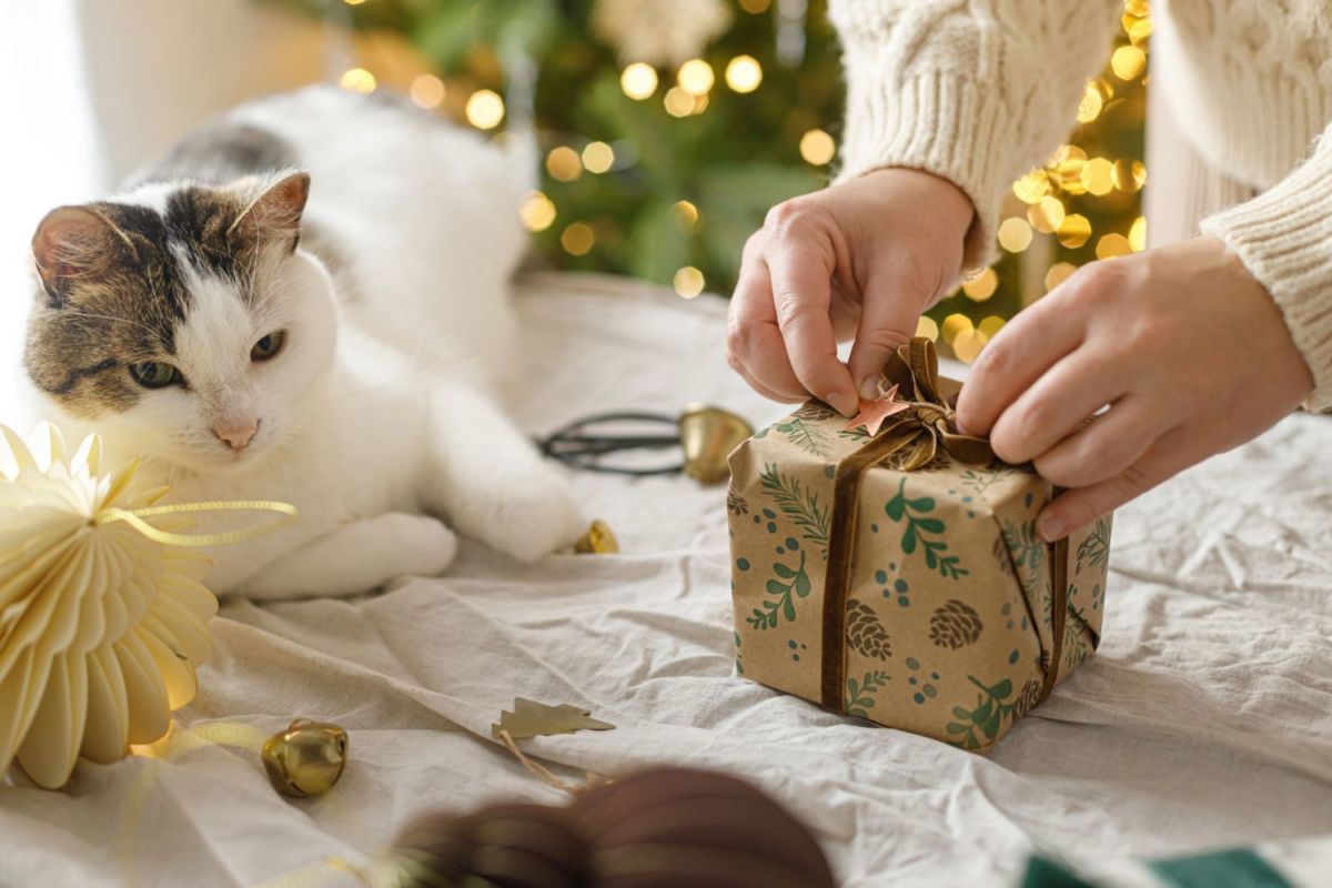 5 ideas para que te luzcas con un regalo de Navidad único