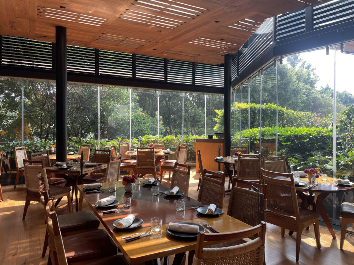 El mejor plan es comer en este restaurante iluminado por los rayos del sol y rodeado de árboles a unos pasos del Auditorio Nacional