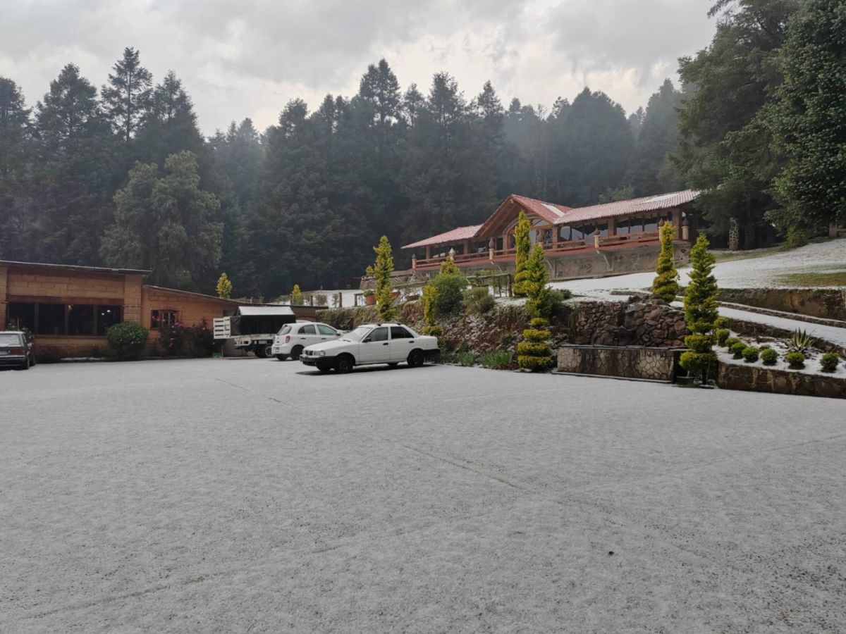 Restaurante Don Chon 