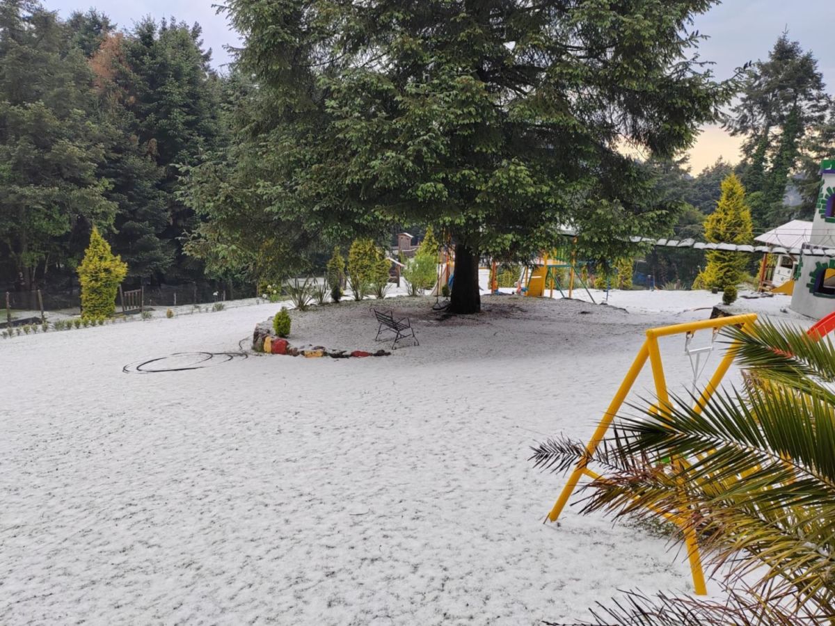 Nieve en La Marquesa