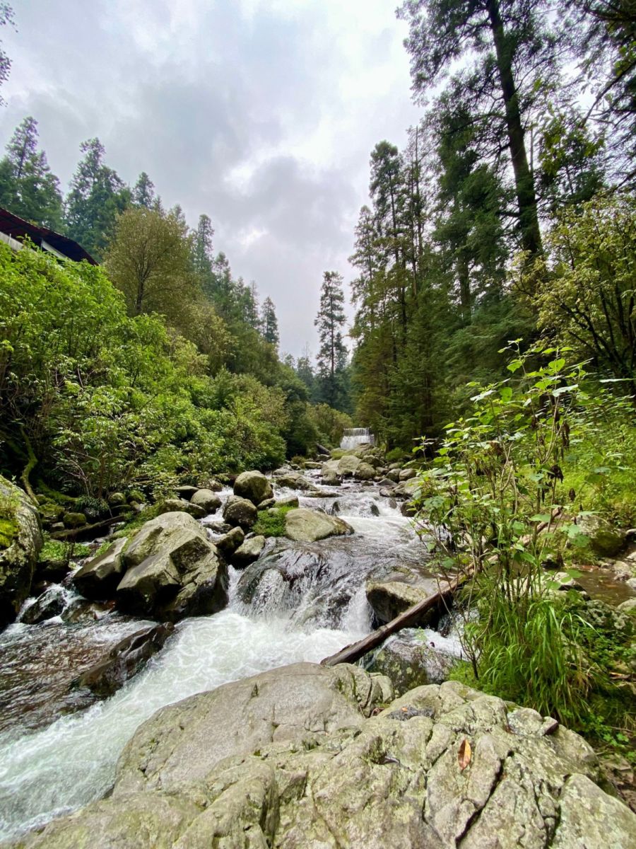 dónde comer en el ajusco