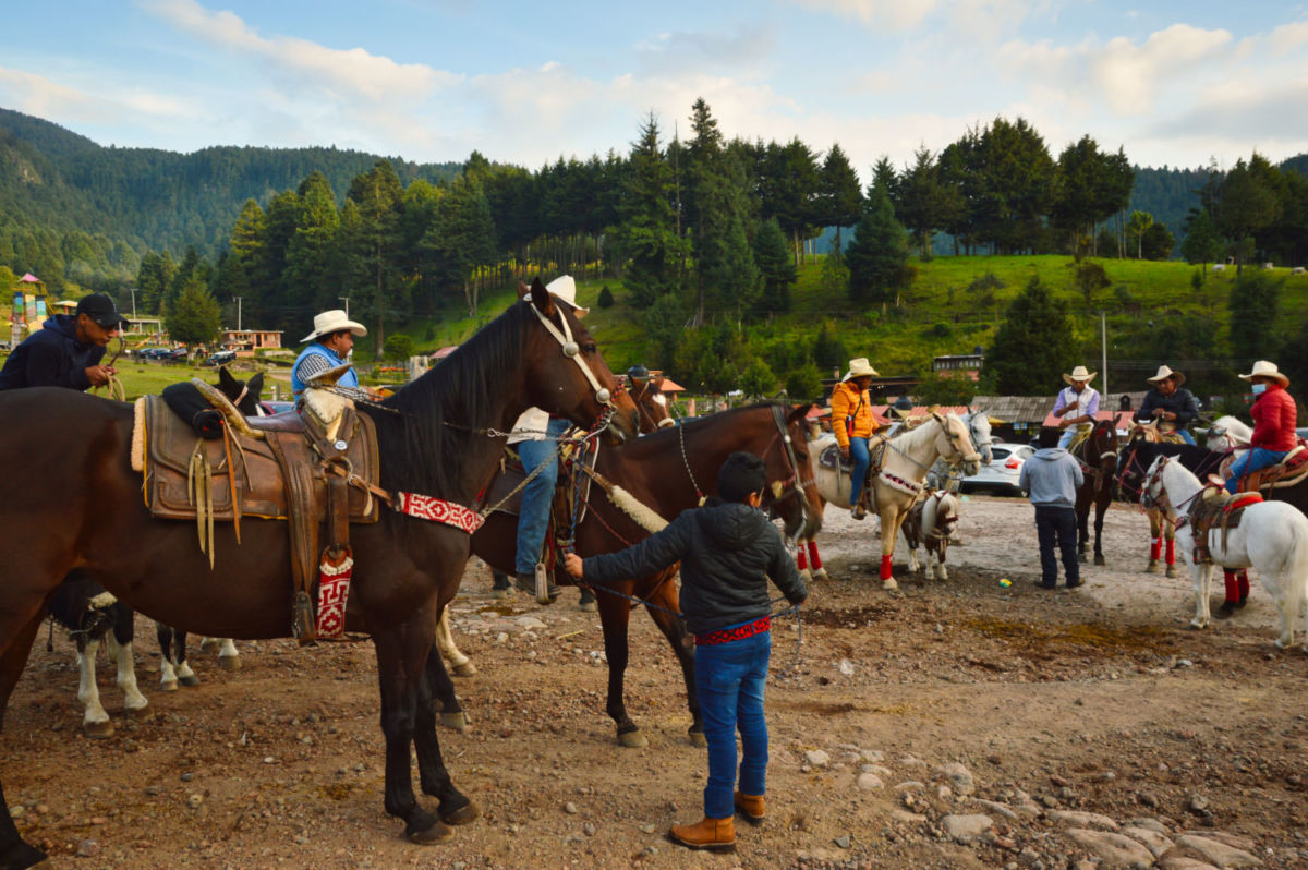 Caballos en La Marquesa