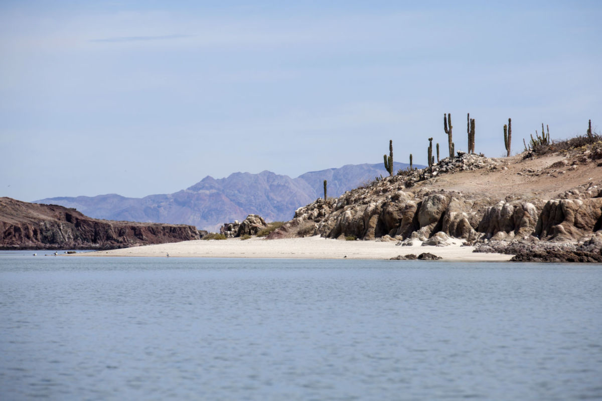 road trip por Baja California