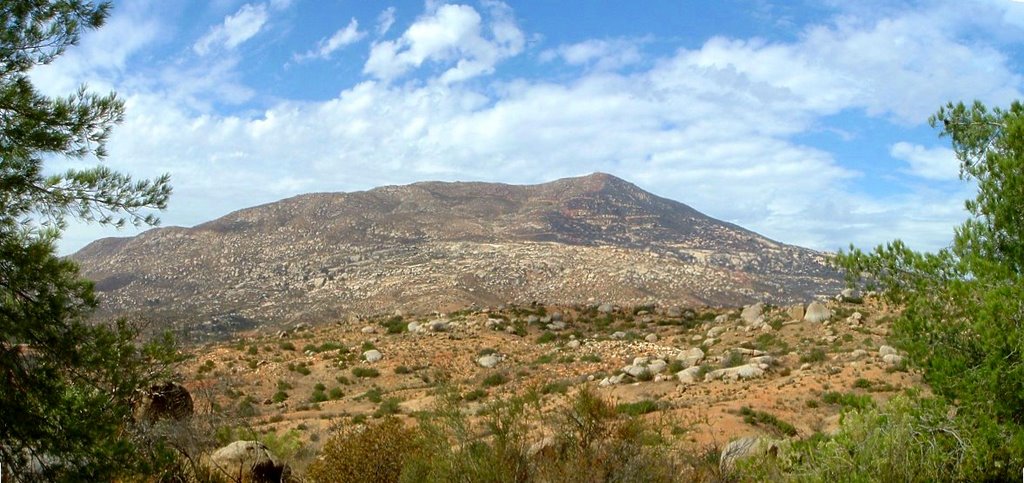 Tecate