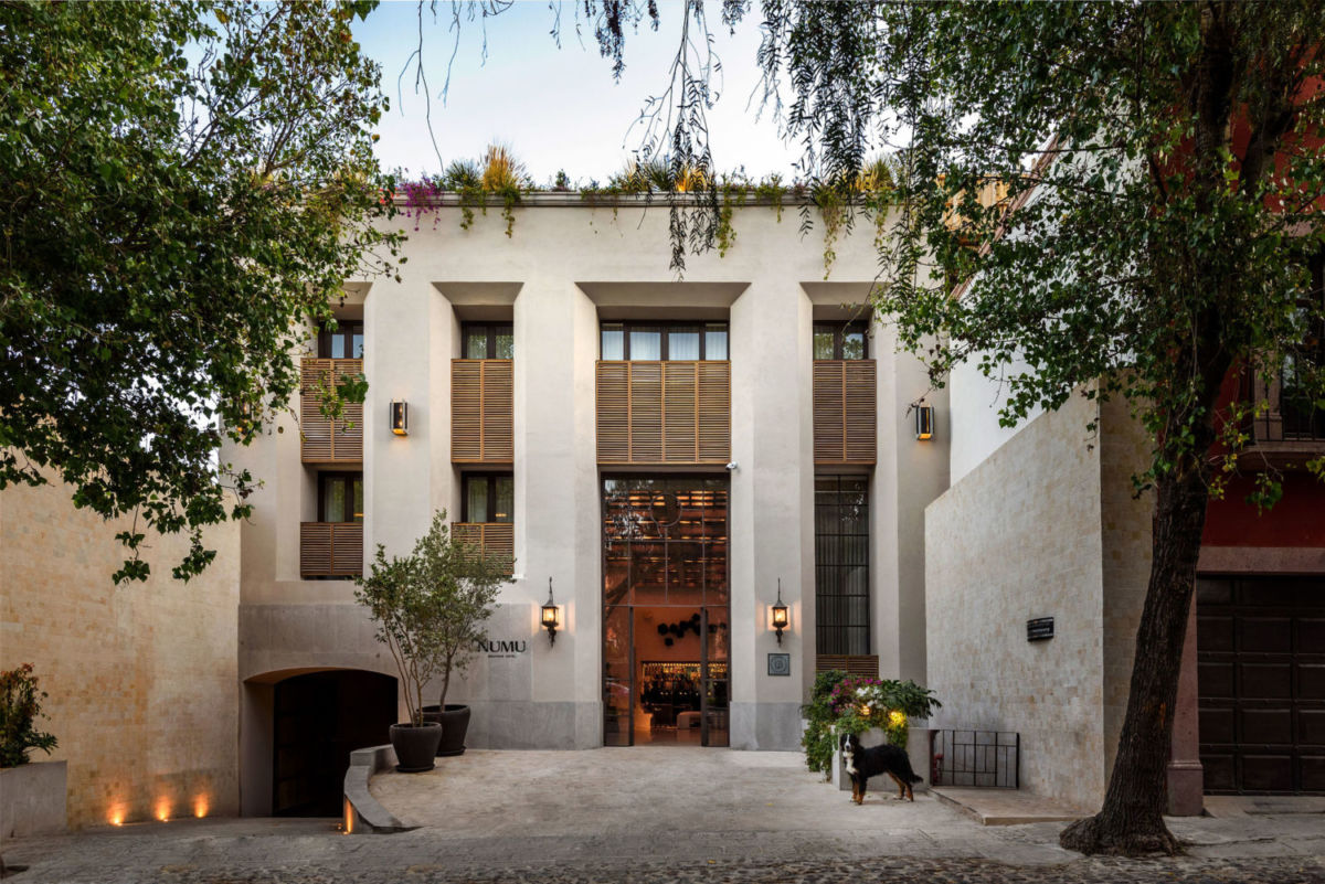 dónde celebrar Thanksgiving en San Miguel de Allende 