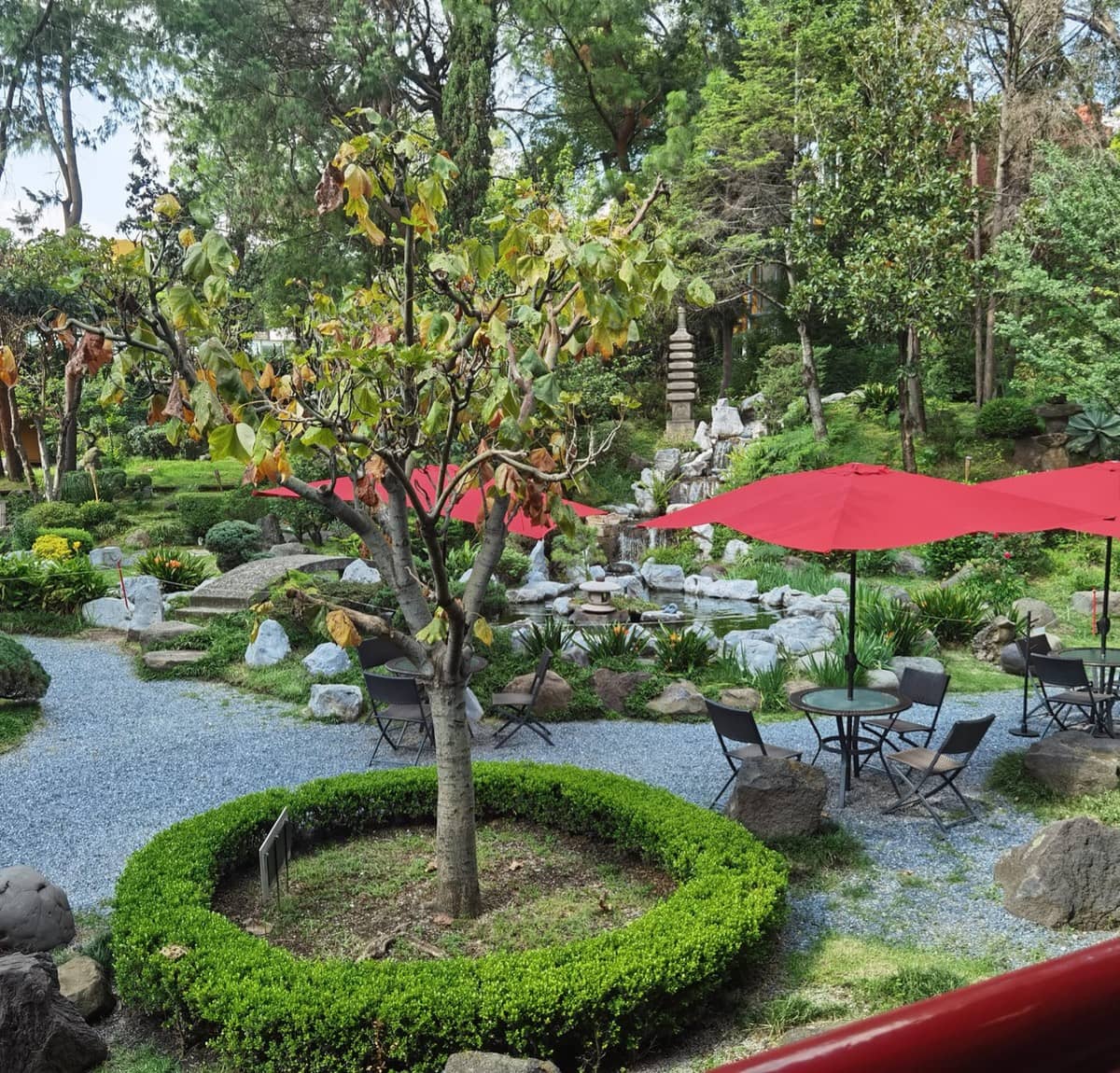 El plan perfecto si te quedas en la CDMX es ir a este jardín japonés a comer sushi y leer manga