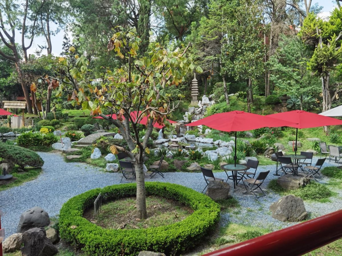 Los salones de la Asociación México Japonesa están rodeados de bellas áreas verdes