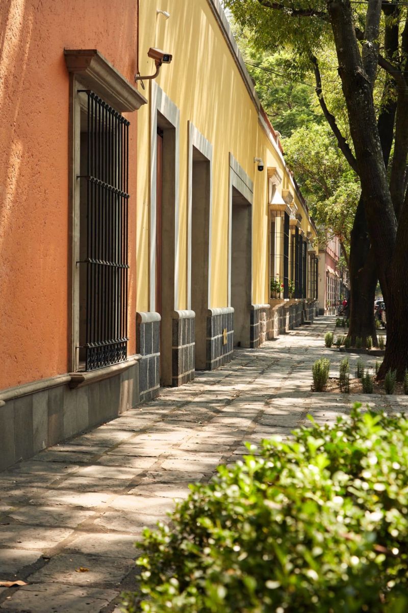 Esta calle en Coyoacán es una de las más antiguas de la CDMX, y tiene varios tesoros escondidos