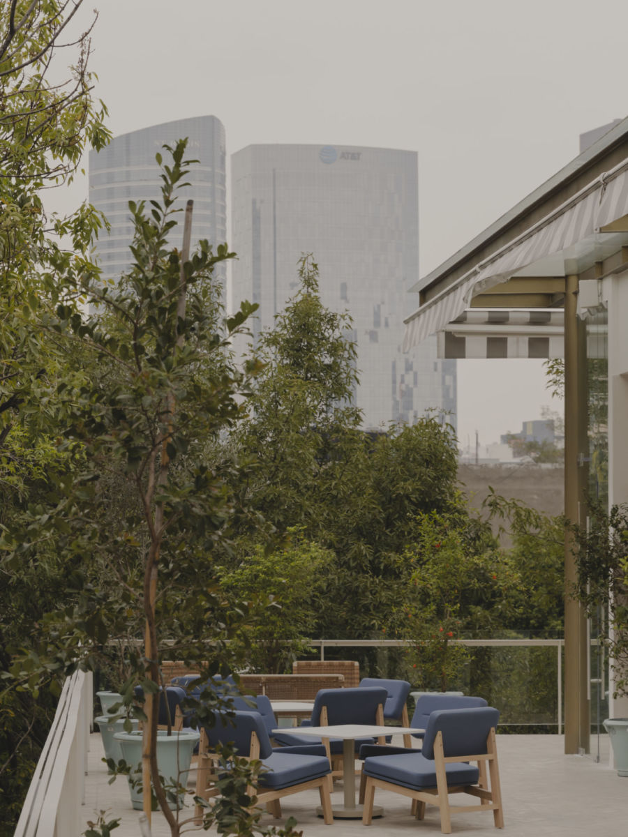 La celebración de Año Nuevo continúa en el Rooftop de Casona Roma Norte.