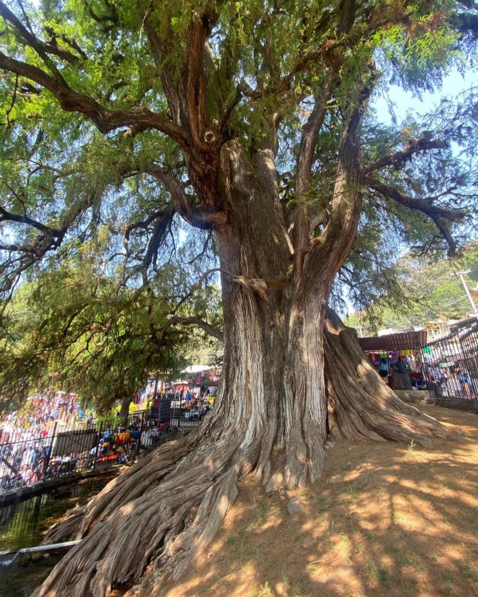 Chalma-Estado-de-México