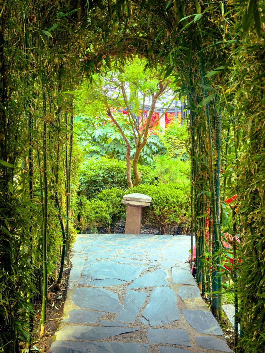 Jardín Botánico de Toluca