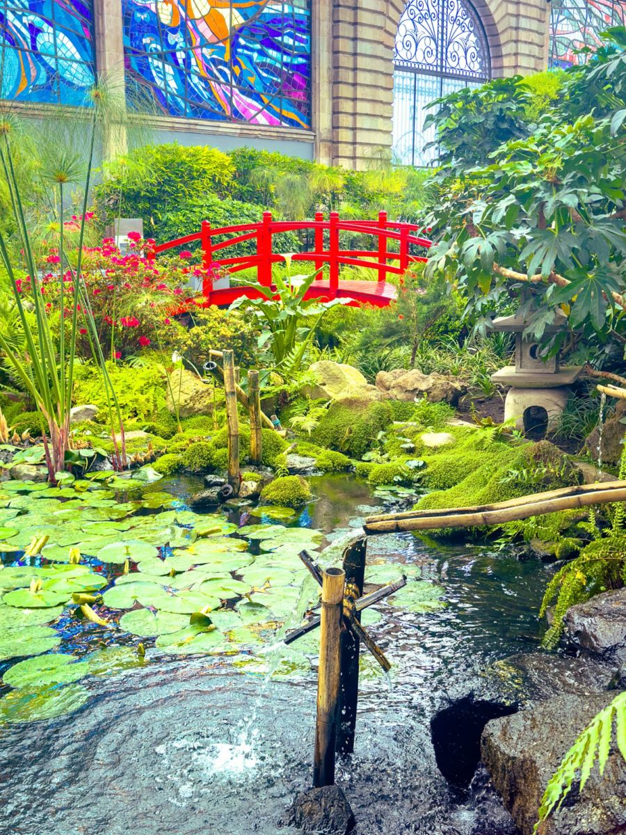 Jardín Botánico de Toluca