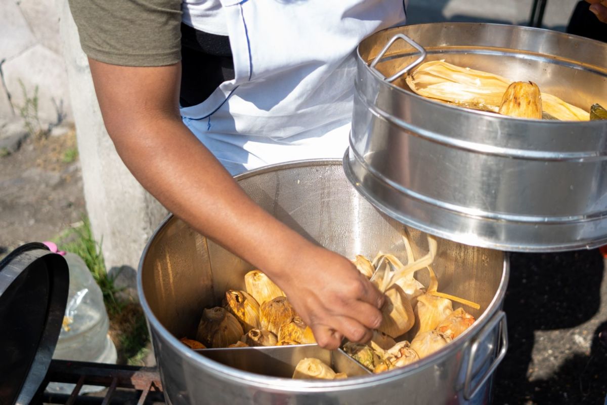 Desierto-de-los-Leones