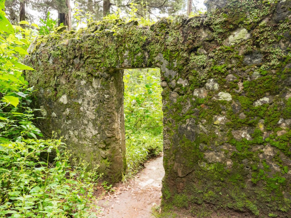 Desierto-de-los-Leones