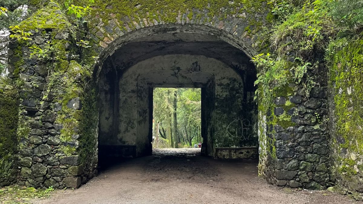 Desierto-de-los-Leones