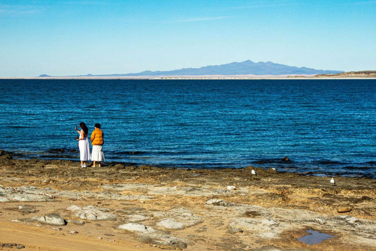 puerto peñasco es uno de los mejores lugares para ver ballenas en el mar de cortés