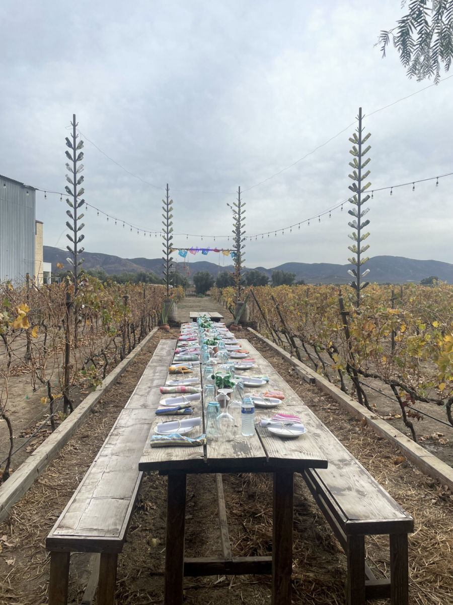 experiencias-en-Valle-de-Guadalupe