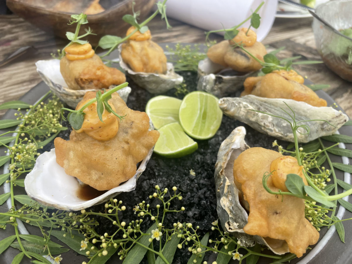 experiencias-en-Valle-de-Guadalupe