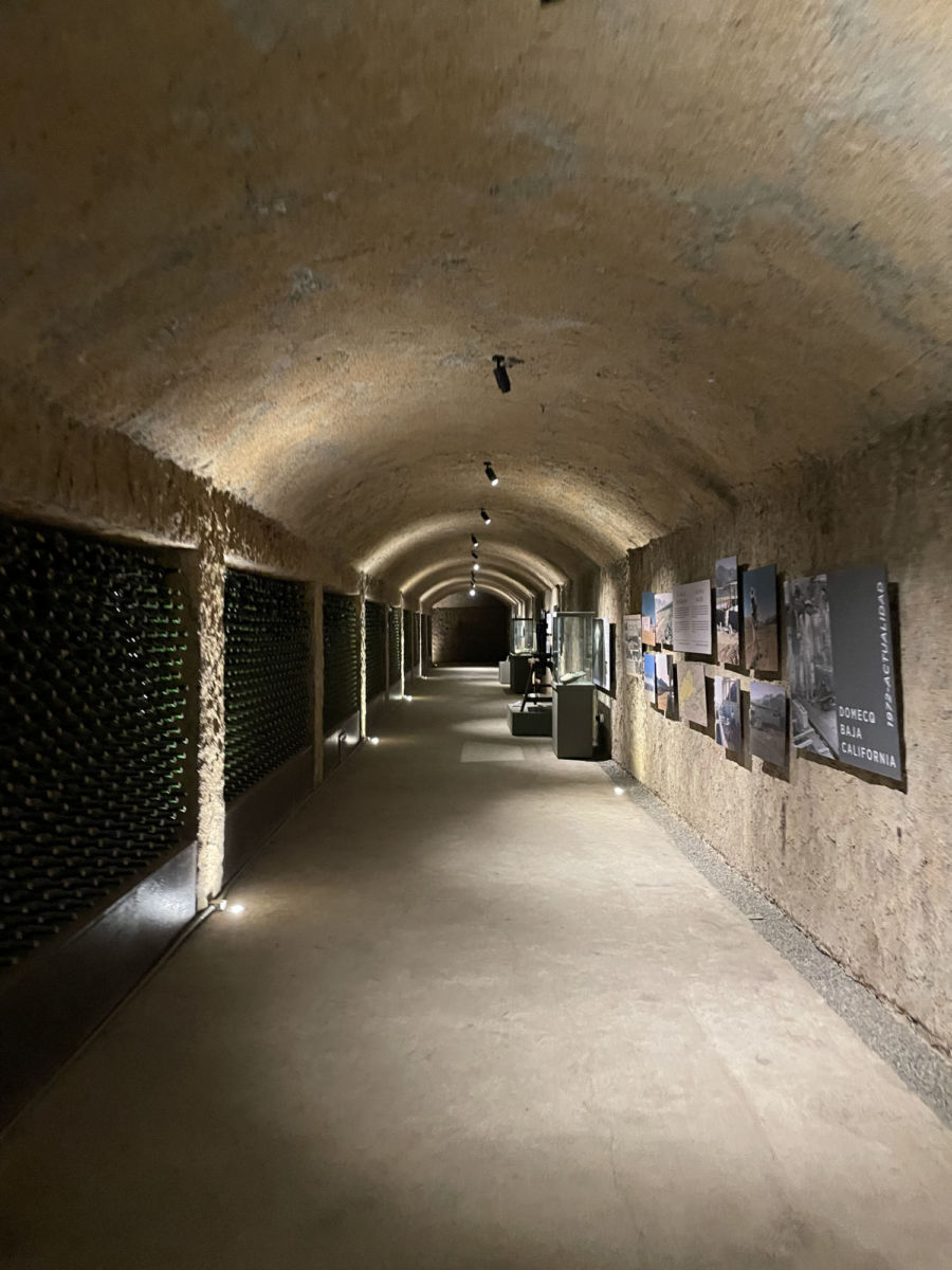 experiencias-en-Valle-de-Guadalupe